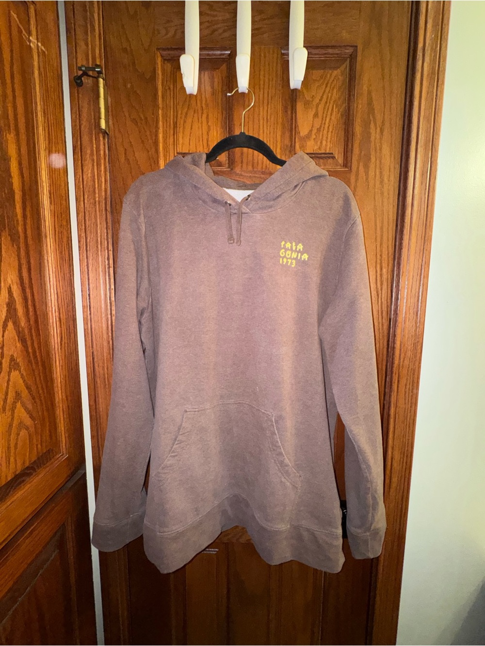 Patagonia Brown Hoodie with Multicolor Logo